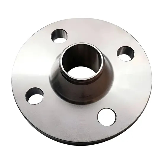 Salt-Resistant Hastelloy C 22 Flange for Coastal Facilities