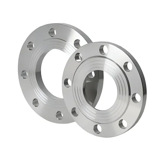 Hastelloy C-22 Furnace Flange for High-Temperature Use