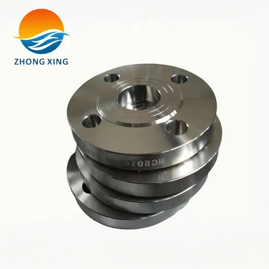 Hastelloy C22 Flange for Coastal Applications