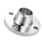 Acid-Resistant Hastelloy C 22 Flange for Chemical Analysis Labs