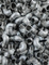 Inconel 625 Fittings: Consistent Performance From Cryogenic Temperatures to 1, 000 Degrees.