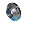 Hastelloy C-22 Furnace Flange for High-Temperature Use