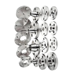 High-Temperature Hastelloy C-276 Welding Neck Flanges for Flue Gas Scrubbers