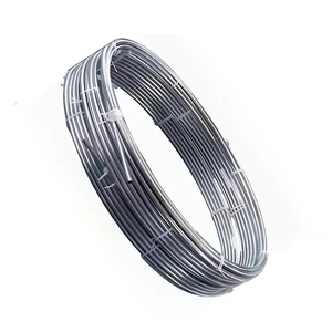 Chemical Industry Mining Acid - Resistant Hastelloy C 276 Coil